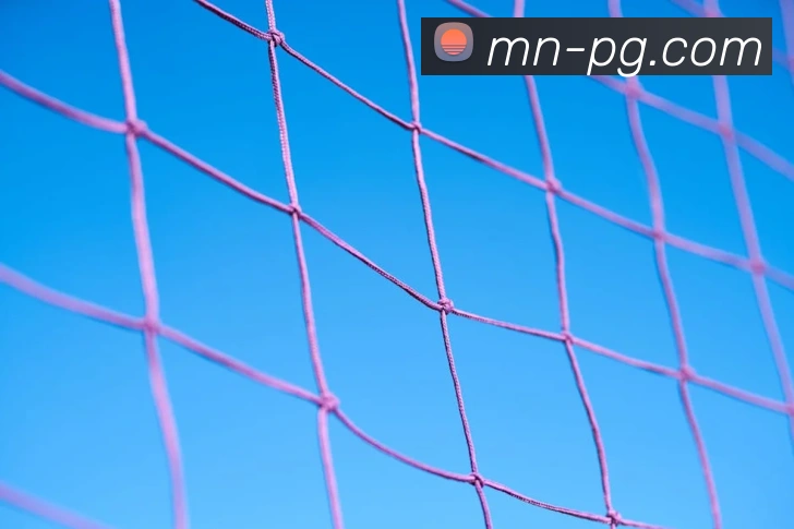 pg电子平台生态图